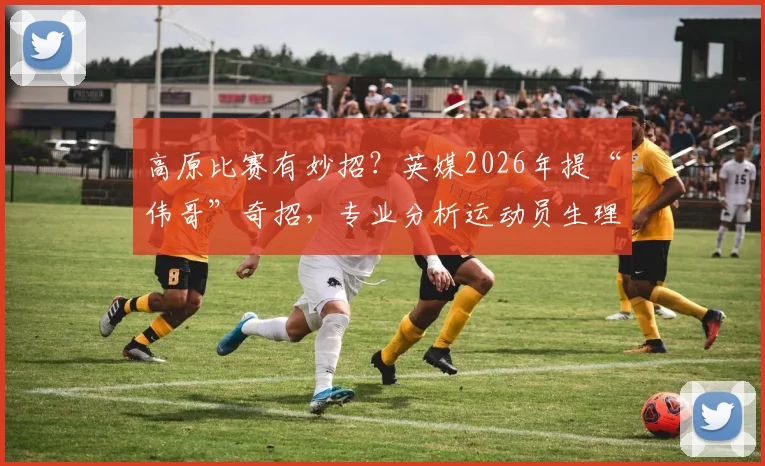 高原比赛有妙招?英媒2026年提“伟哥”奇招,专业分析运动员生理适应与替代方案