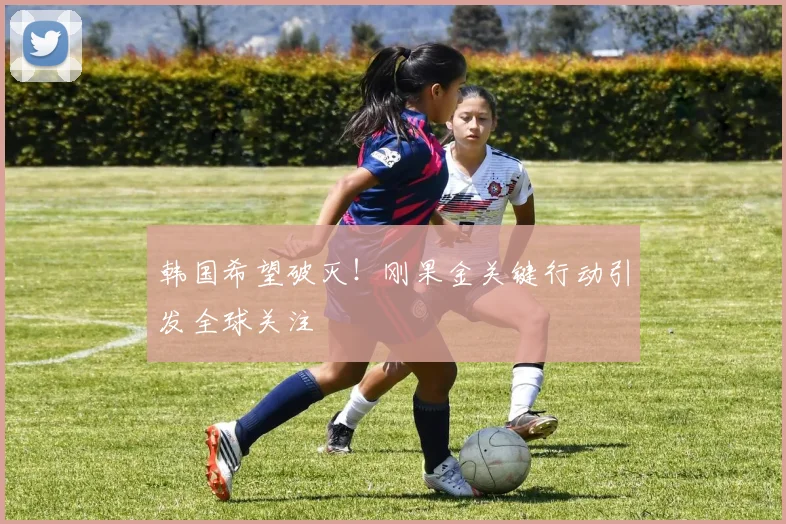 韩国希望破灭！刚果金关键行动引发全球关注